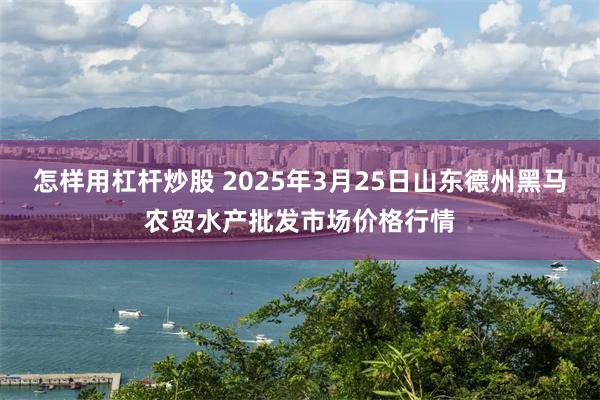 怎样用杠杆炒股 2025年3月25日山东德州黑马农贸水产批发市场价格行情