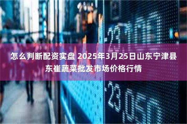 怎么判断配资实盘 2025年3月25日山东宁津县东崔蔬菜批发市场价格行情