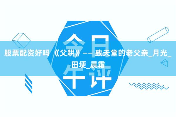 股票配资好吗 《父耕》—— 致天堂的老父亲_月光_田埂_晨霜