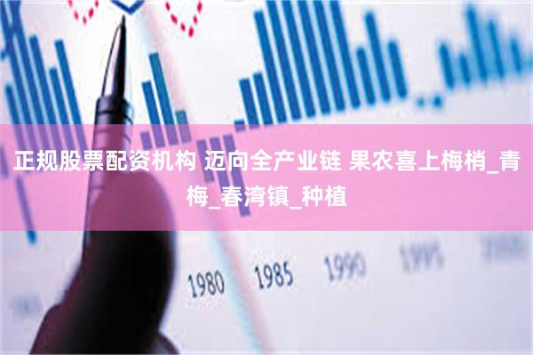 正规股票配资机构 迈向全产业链 果农喜上梅梢_青梅_春湾镇_种植
