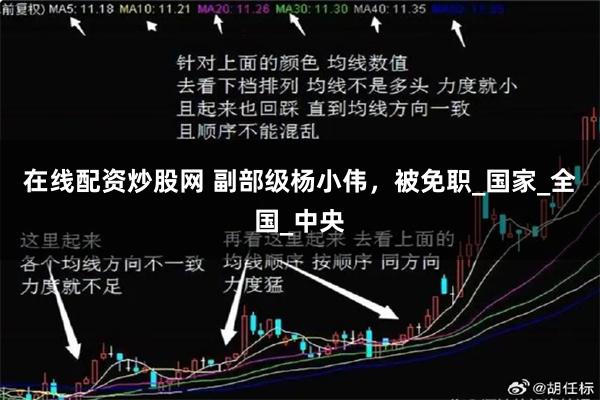 在线配资炒股网 副部级杨小伟，被免职_国家_全国_中央