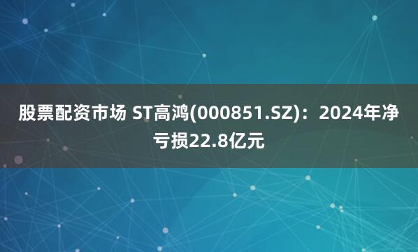 股票配资市场 ST高鸿(000851.SZ)：2024年净亏损22.8亿元