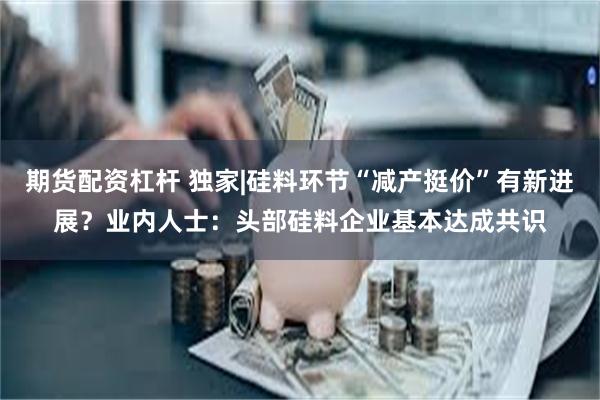 期货配资杠杆 独家|硅料环节“减产挺价”有新进展？业内人士：头部硅料企业基本达成共识