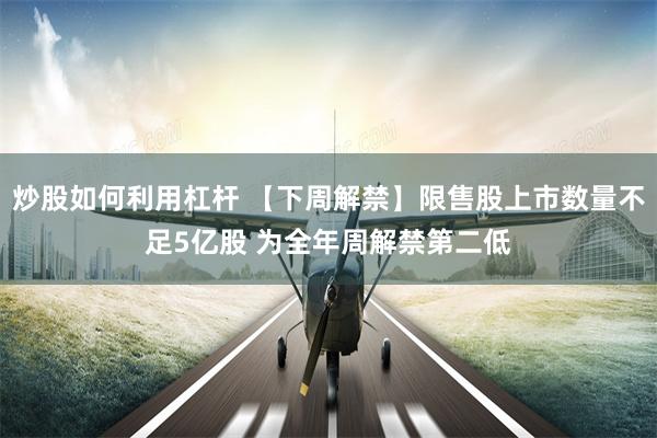 炒股如何利用杠杆 【下周解禁】限售股上市数量不足5亿股 为全年周解禁第二低